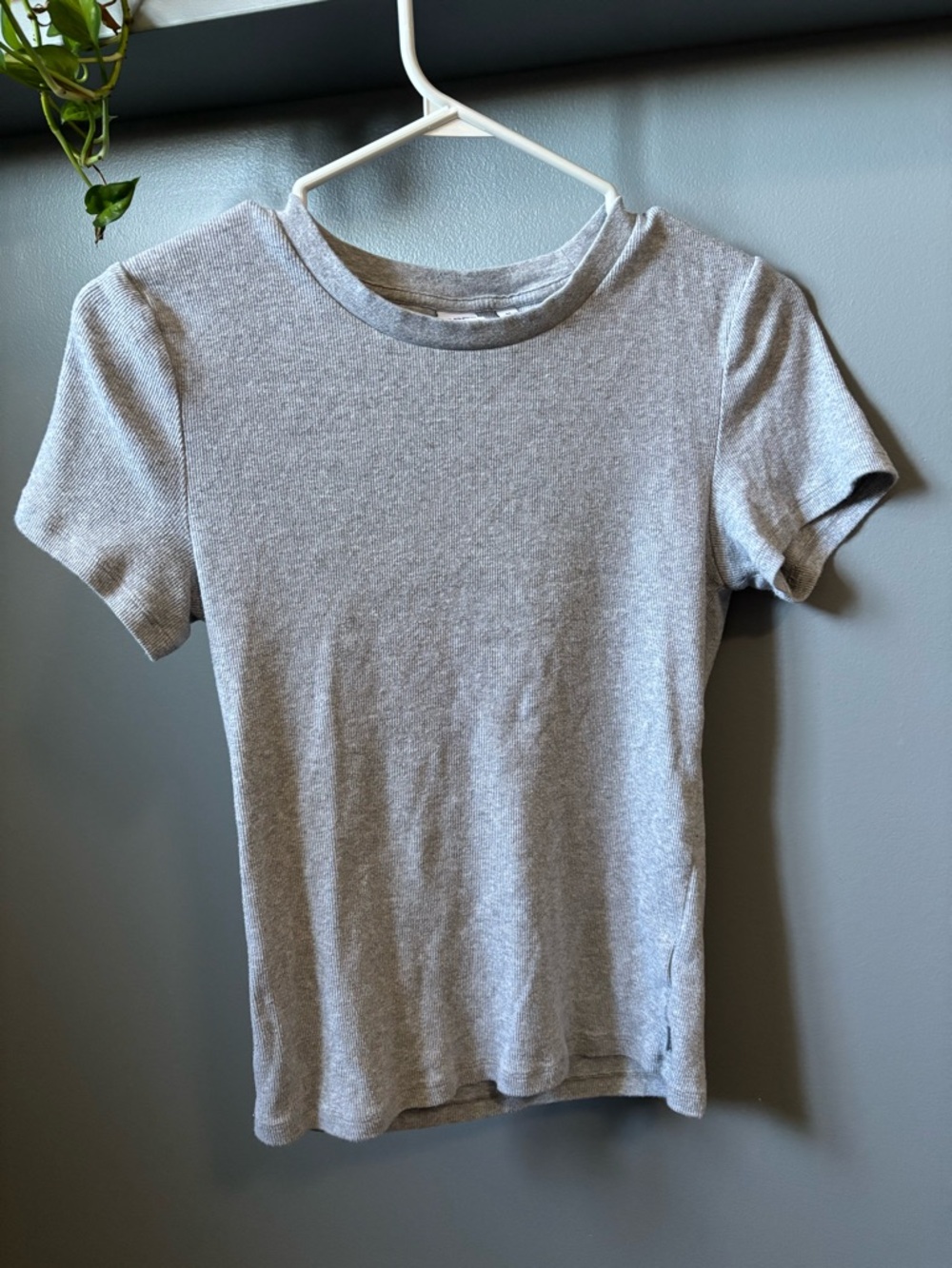 Aritzia Tna Homestretch Heather Chrome Short Sleeve T-shirt